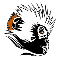 Zanzibar Red Colobus Project (@zanzredcolobus) 's Twitter Profile Photo