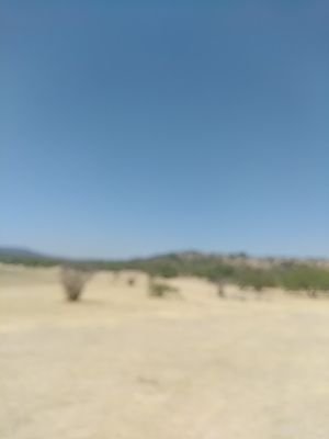 JosVillarrealL1's profile picture. 