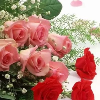 ipsari89's profile picture. 