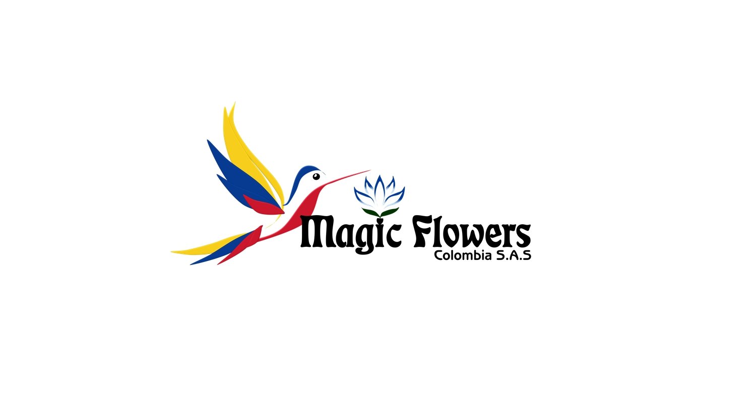 Exportación flores de Corte, #Hidrangeas desde #Colombia