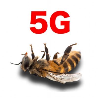 STOP 5G SCOTLAND 🆘 on Twitter: "WE ARE SEEING HALTS TO 5G ALMOST ...