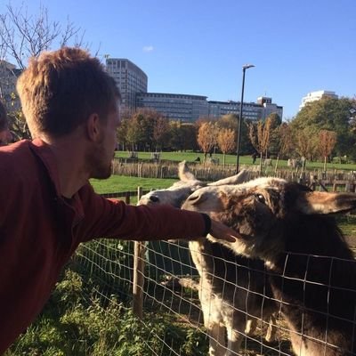 joebeswick1's profile picture. @RosaluxLondon. @LDNrentersunion. PhD financialisation of social housing. Formerly housing and land for @nef.