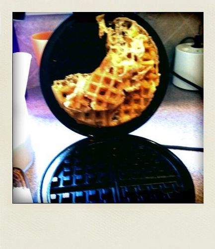 waffleswouldbe's profile picture. 