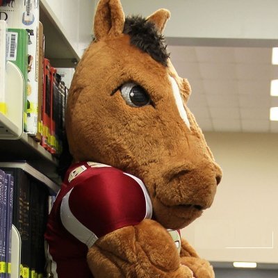 I’m Buster, Brookwood High School’s mascot. My tweets connect Broncos to school happenings.