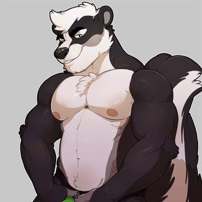 42 I Furry I Skunk I Bi I NSFW sometimes I Heathen I Formally DocSkunk on here.