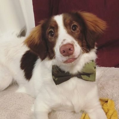 Fani18256305's profile picture. La grieta que rompe lo establecido 🌪