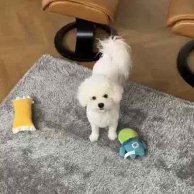 no24ticket's profile picture. 