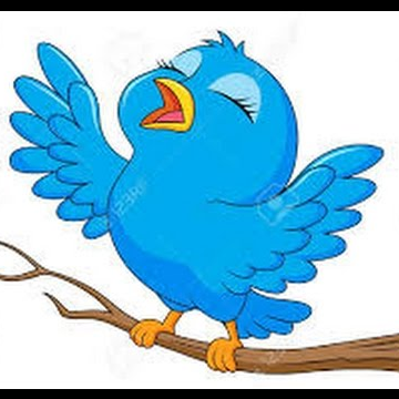 rambo_rim's profile picture. 😍