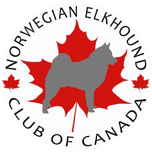 We encourage and promote education, events and the responsible breeding of pure-bred Norwegian Elkhounds. Providing a safe haven for our beloved breed.