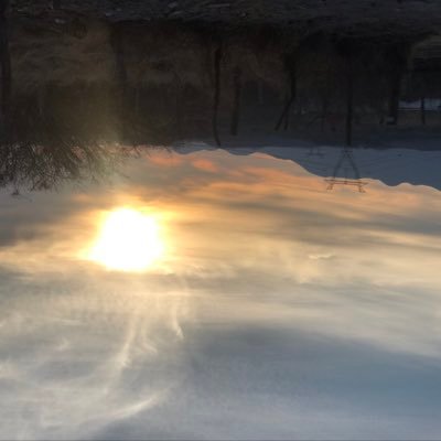 VisualsDualAgar's profile picture. hase sunkaze (now the stunnerwarrior) SuperCard grinder from Season 2 #wwesupercard