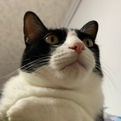 rubidus_Rb's profile picture.