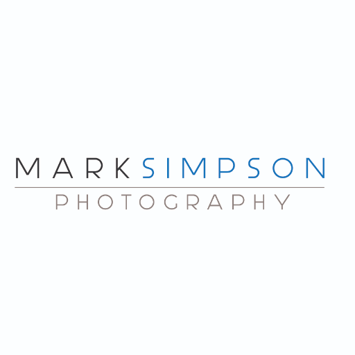 Professional photographer specializing in event, weddings, portrait, and performance photography.