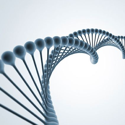 AAASynBio's profile picture. AAASynBio provide stakeholders with a platform for dialogue, networking & advisory on research, development, policies & regulations in #SyntheticBiology #SynBio