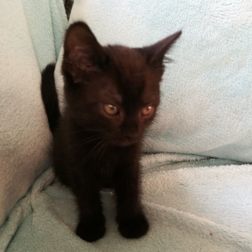 Mona42482856's profile picture. 