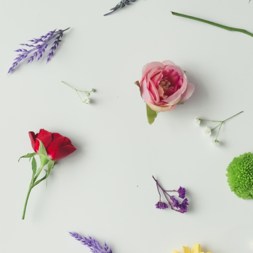 HermiaFHCI's profile picture. 