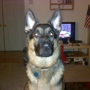 Kelli Wolfe Mallow - @kelliwolfe86 - Twitter