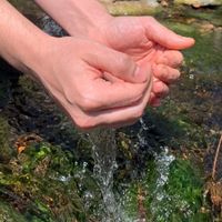 CWSN (@cleanwatersci) 's Twitter Profile