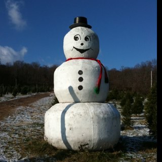 Troz4554's profile picture. Wow, cars, food, wine, just ask me?