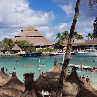 olansoft2010's profile picture. 