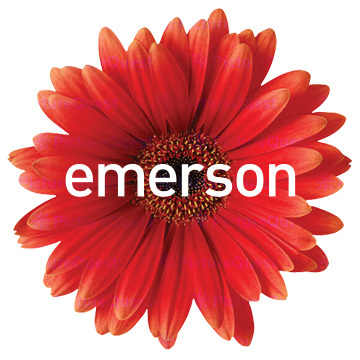 Emerson Group Inc.