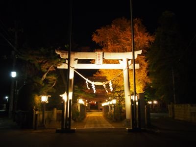 栃木県さくら市にある今宮神社の公式アカウントです。 このアカウントでは神社の情報や日常をつぶやいていきたいと思います。また、ホームページ、Instagram、Facebookもご参照ください。