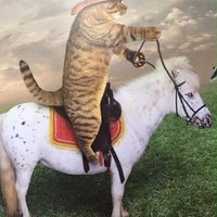 JGS Books (@booksjgs) 's Twitter Profile