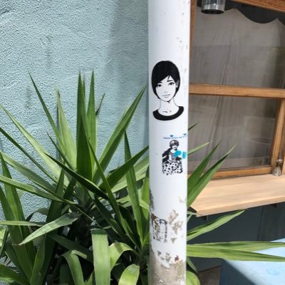 shicom2's profile picture. 