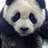 hachi_8oo8