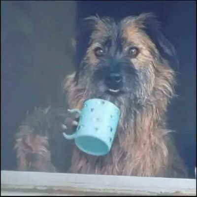 RAnnotations's profile picture. just a random profile of my paranoia