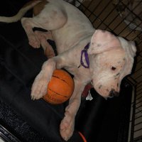 Jason Thomas (@jas0n_th) 's Twitter Profile