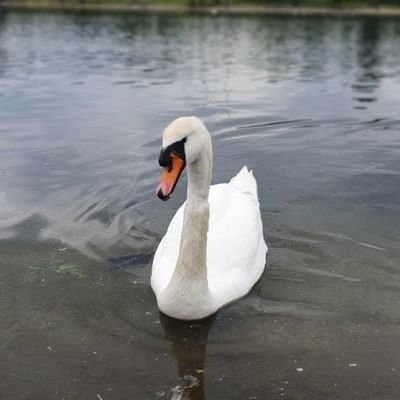 knanavati's profile picture. 