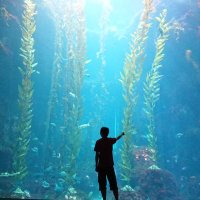 へイオ＠このまにあ🌻🦋 (@heio_) Twitter profile photo