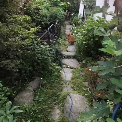 miatakkyu33's profile picture. #baystars #chibalotte #MUFC