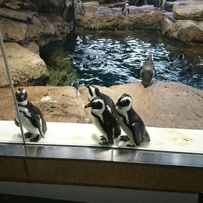 ISIaGRgvXeB5XCs's profile picture. 