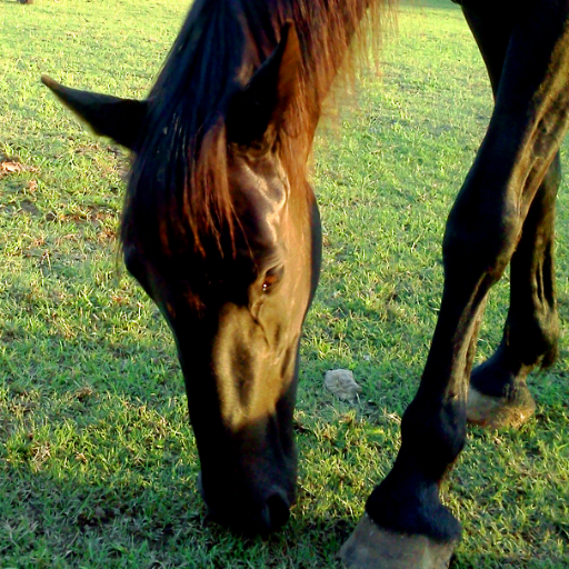 sunnys_halo's profile picture. I showed up for adulthood, but it turns out I packed all the wrong things.