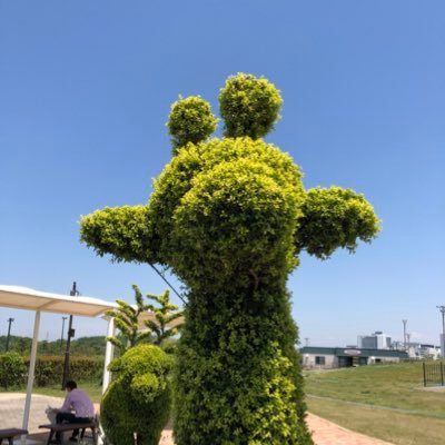 🐈猫さんと暮らしてます 子育て支援員 ラジオ聴くのが好きです お笑い芸人さんが大好きです #パンツ万博 #みぎぃ #飛騨ニョッキ #大前町田 #永野 #みなみかわ #ただならぬ刀