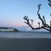 Empordà Lovers (@empordalovers) Twitter profile photo Empordà Lovers (@empordalovers) Twitter profile photo