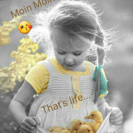 hindimoviesadda's profile picture. 