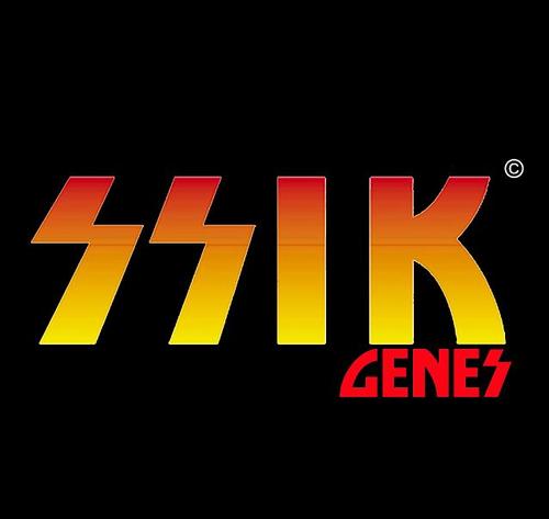 SSIKGENES's profile picture. 