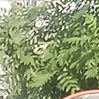 hahaaxx1314 (@hahaaxx1314) 's Twitter Profile