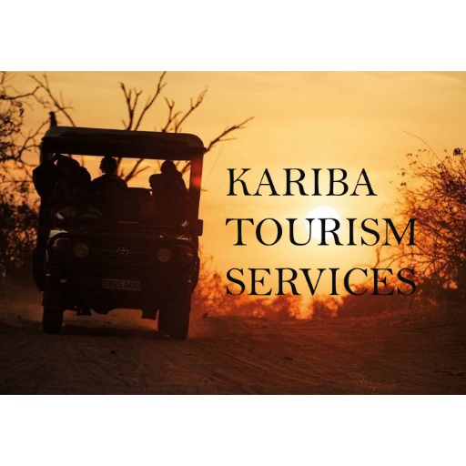 KaribaTravels's profile picture. For all your accommodation and bookings in Kariba 

contact: 0774 734 066