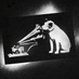hmv Banbury (@hmvbanbury) Twitter profile photo hmv Banbury (@hmvbanbury) Twitter profile photo