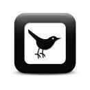 SHOUTOUT Me? I RETWEET IT AND RETURN THE LOVE BACK! #iFollowback #tfb #500ADAY