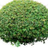 Domaine12's profile image