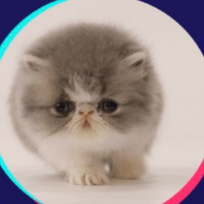 OLchan5114's profile picture. 新卒から金融業界転々としてからのミドサーで未経験業界・職種にチェンジ。2021年11月第1子出産。高齢出産、産後ひどい貧血からどうにか回復しつつの育児スタート！趣味は⚾️🎏、最近はBMSGにどハマり🎵MAZZEL沼！2025.9.28MUZEUM入会✨