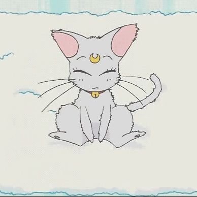POTTOPUさんのプロフィール画像