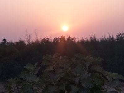 Ramaraj78630004's profile picture. 