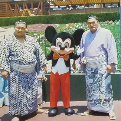 にゃ助 Q ディズニーには誰と行ったんですか 兵庫県 23歳 男性 A 力士と行きました 埼玉県 26歳 男性 お相撲さん相談室
