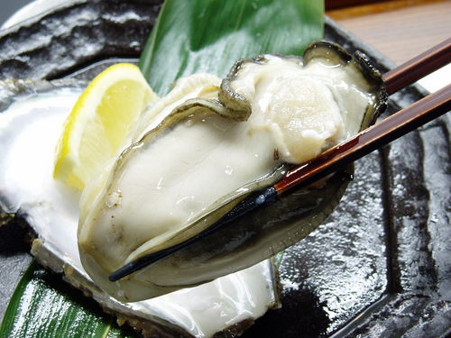 仙台・定禅寺通りの小さなオイスターバーです！三陸産のかきを中心に『一年中』旨い牡蠣を御用意してます！ 4種類の『かきの食べ比べ』や殻付生かきを『石焼き』『炙り』にしたり、、、かきの奥深い味わいをご堪能いただけます！ お昼のランチも好評営業中！！牡蠣の発送も承っております→ https://t.co/1HFAQoKkgn