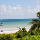 Candy Harris - @sunsanibel - Twitter